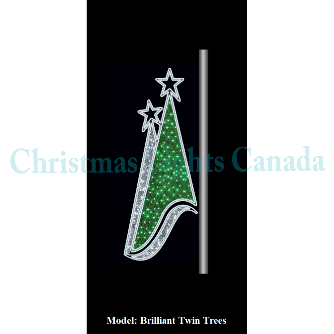 Wholesale christmas trees washington